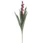 ALOE FLOWER ROSA 23X93 cm MIN 10